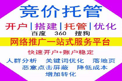 搜索引擎竞价推广实战：行业领先企业的成功秘诀